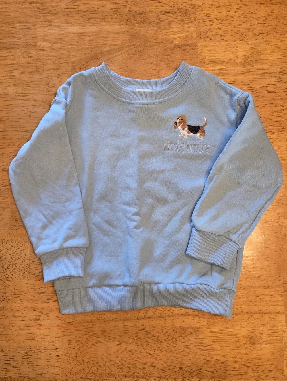 Kids Light Blue Sweatshirt with Embroidered Beagle